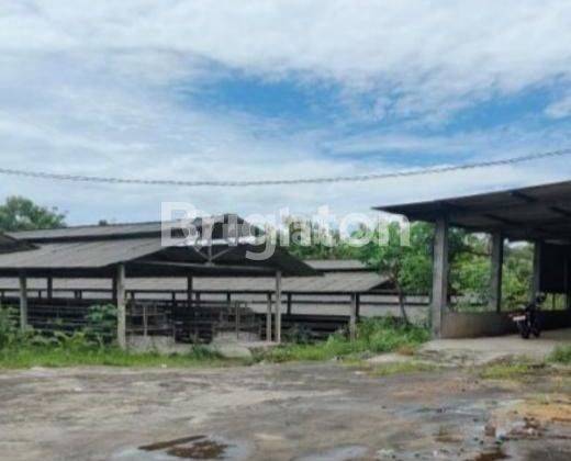 TANAH DEPOK PETERNAKAN MAGELANG - JAWA TENGAH 2