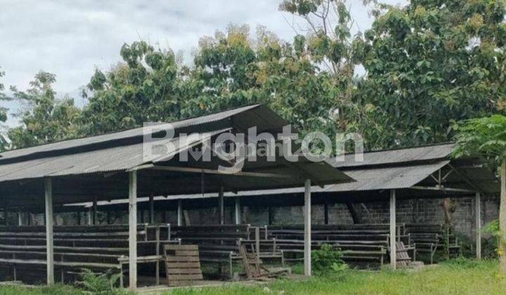 TANAH PETERNAKAN PROJO, 12.496m2, SHM, MAGELANG - JAWA TENGAH 1