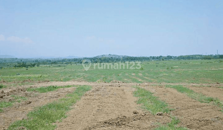 Lahan 82.6Ha, HGB, Tanggungharjo, Grobogan, Jateng(J.yn.123) 1