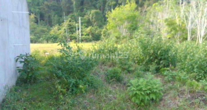 Tanah 3 ha, cuma 9M, Korowou, Lembo, Morowali Utara,Sulteng(dyh) 1