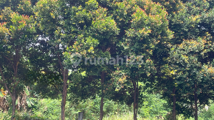 Commercial Land,900m2,HGB,Grand Permata Business Park,Bekasi(c2) Commercial Land,900m2,HGB,Grand Permata Business Park,Bekasi(c2)