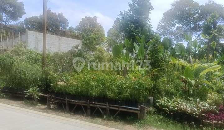 Dijual Kebun Bunga Strategis Pinggir Jalan Utama Cigugur, Parongpong, Bandung ‼ Kesempatan Investasi Langka!