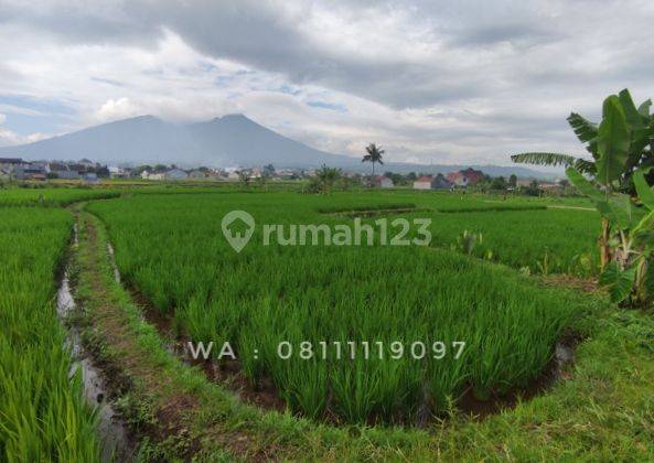 Jual : Tanah S H M View Gunung Salak Bogor 2