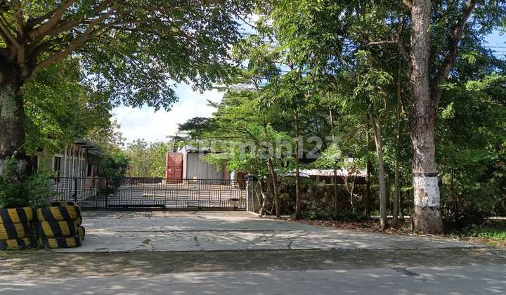 Adirejo Village Land, Tunjungan, Blora, Central Java, 40869 m², Strategic Location Adirejo Village Land, Tunjungan, Blora, Central Java, 40869 m², Strategic Location