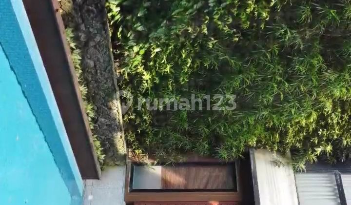 Rumah Super Mewah Pik Trimaran 20x30m2 4 Lantai Tropical Concept