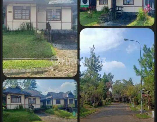 di jual villa kota bunga, cipanas, cianjur, bogor 1