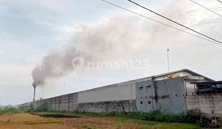 Ready-to-Use Strategic Factory EX, Jalan Raya Bringkang, Gresik