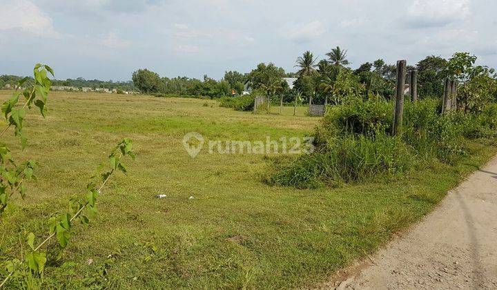 DIJUAL TANAH CIKANDE RANGKAS BITUNG DESA CEMPLANG 2