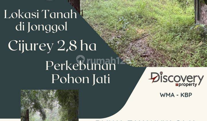 Tanah Cijurey Jonggol Jawa Barat cocok untuk Perkebunan dan Pertanian 2