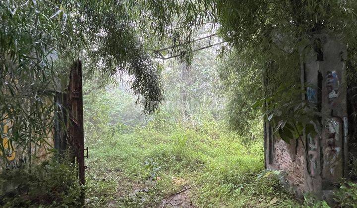 Tanah Cijurey Jonggol Jawa Barat cocok untuk Perkebunan dan Pertanian 1