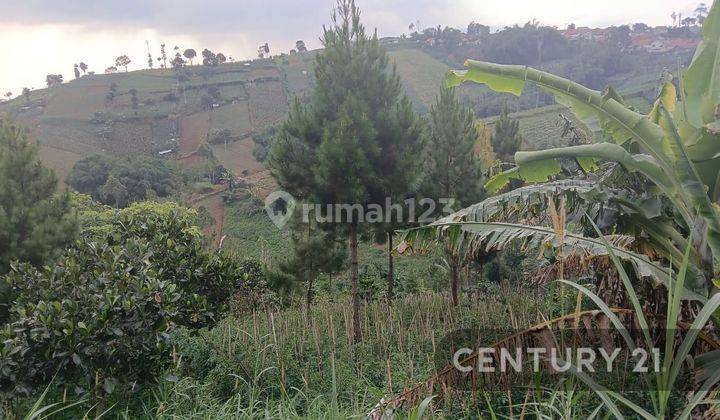 Tanah Pinggir Jalan View Pegunungan Di Jl Tugu Dago Bandung 2