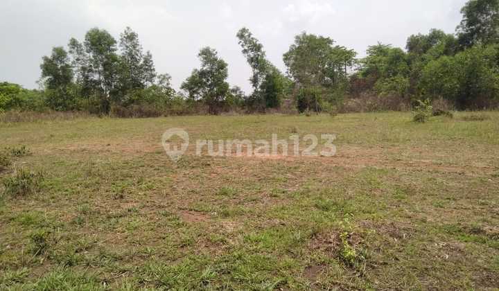 Dijual Tanah Insudtri Kav Mabes Mujul Cileles Tigaraksa 1