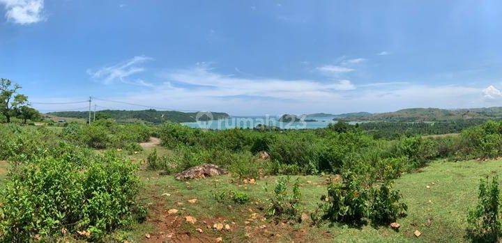 Dijual Tanah di Kawasan Pantai Dondon Lombok Tengah 1