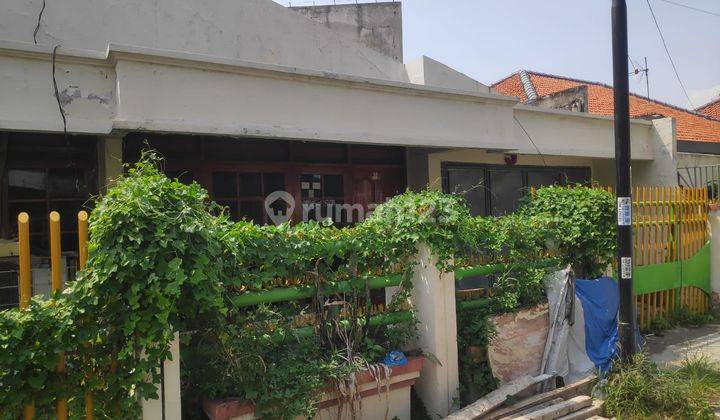 DIJUAL RUMAH HITUNG TANAH DI KARANG ASEM 2