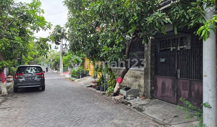 Dijual Via Lelang Rumah Wonorejo Rungkut 2
