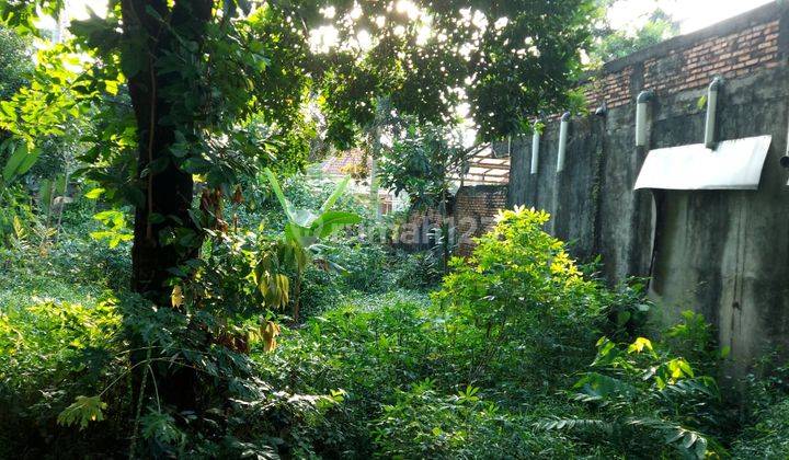 Dijual Cepat Tanah Untuk Pembuatan Cluster di Jatibening Bekasi