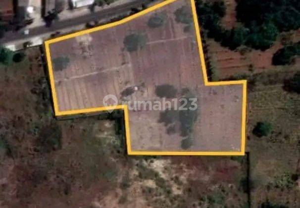 Dijual Tanah Nol Jalan Raya Daendles Wedung Brondong Lamongan 2