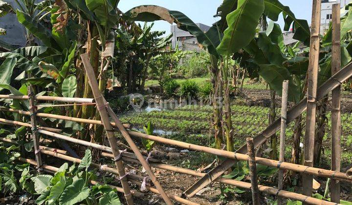 Dijual Tanah Di Kebon Jahe Kapuk.jakbar 1