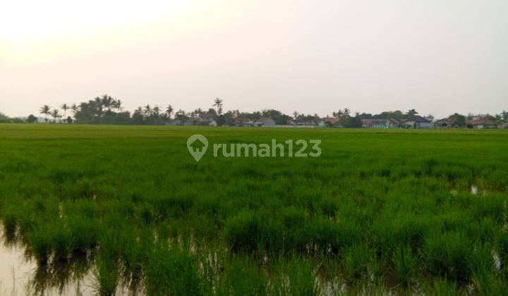 Dijual Tanah Sawah Di Sepatan Paku Haji Tgr 1