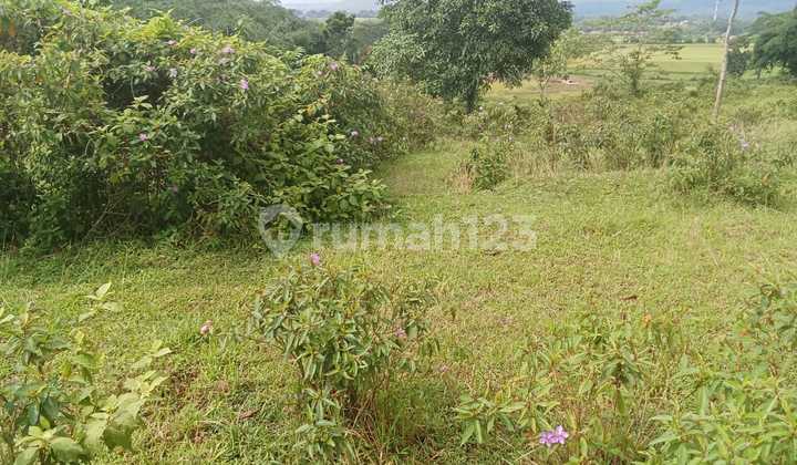 Tanah Strategis Dan View Bagus Dijual Di Jonggol Jawa Barat Tanah Strategis Dan View Bagus Dijual Di Jonggol Jawa Barat