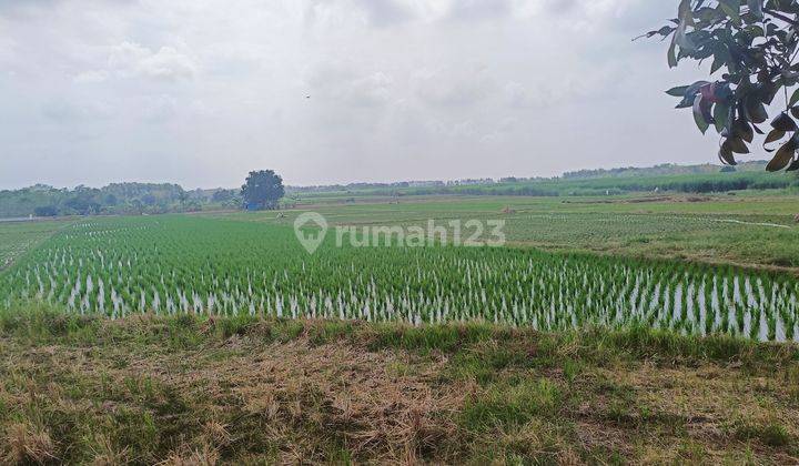 Tanah dijual di Sanca Gantar Subang Indramayu 2