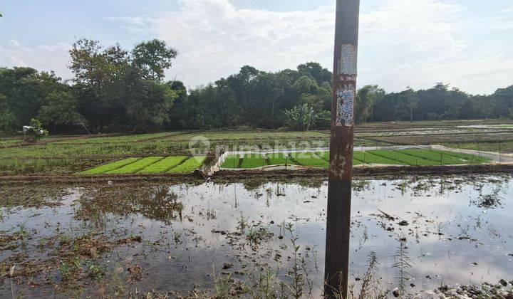 Tanah di Jual 200ha di Loji Kobong Majalengka Jawa Barat  1