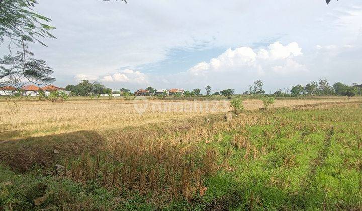 Tanah dijual di Sukawera Ligung Majalengka Jawa Barat  1