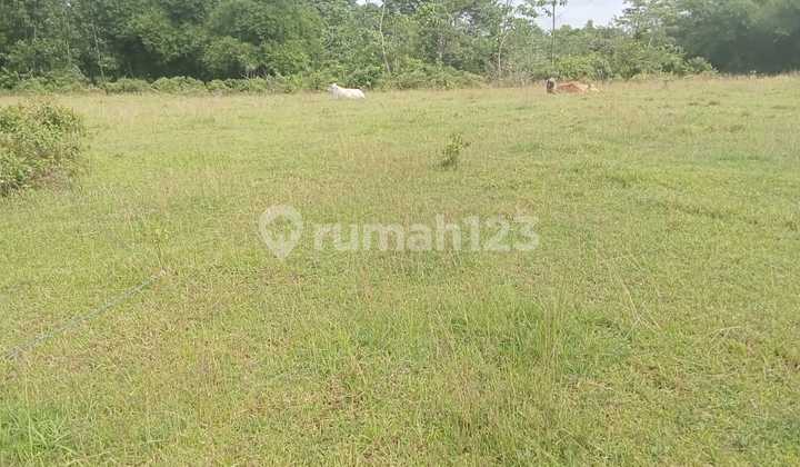 Tanah Strategis Dan View Bagus Dijual Di Jonggol Jawa Barat Tanah Strategis Dan View Bagus Dijual Di Jonggol Jawa Barat