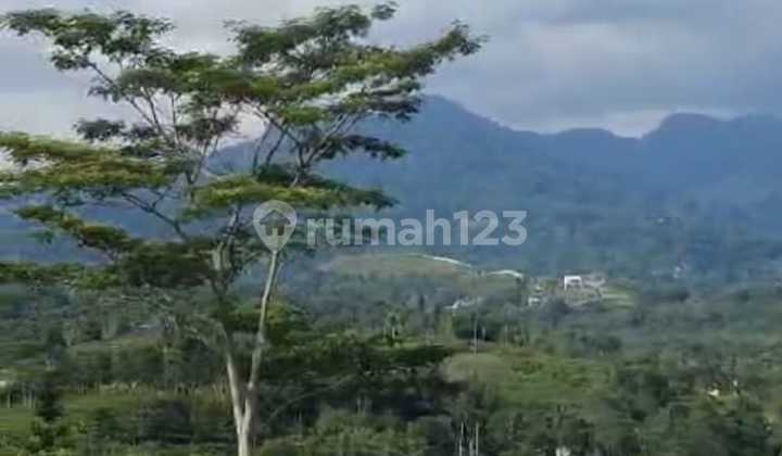 Tanah Kavling Dijual di Megamendung Dekat Summarecon Bogor Jawa Barat