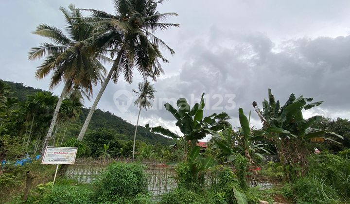 Land 19,745M2 in Kuranji, Padang, SHM