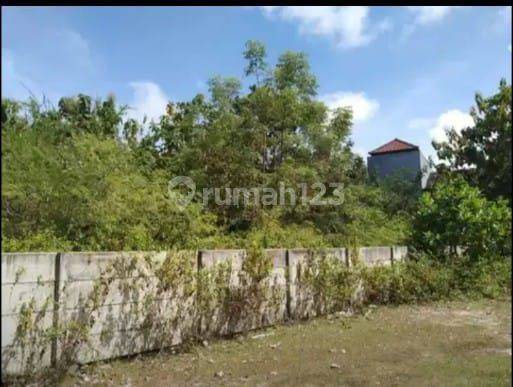 Dijual Tanah di jalan Merak, Ungasan badung 2