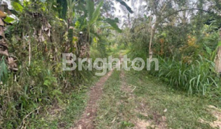 FREEHOLD Land Plot In Ubud Tegalalang 1