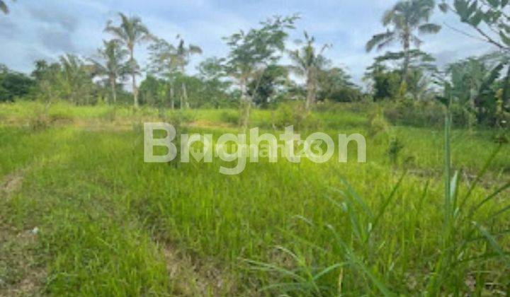 FREEHOLD Land Plot In Ubud Tegalalang 2