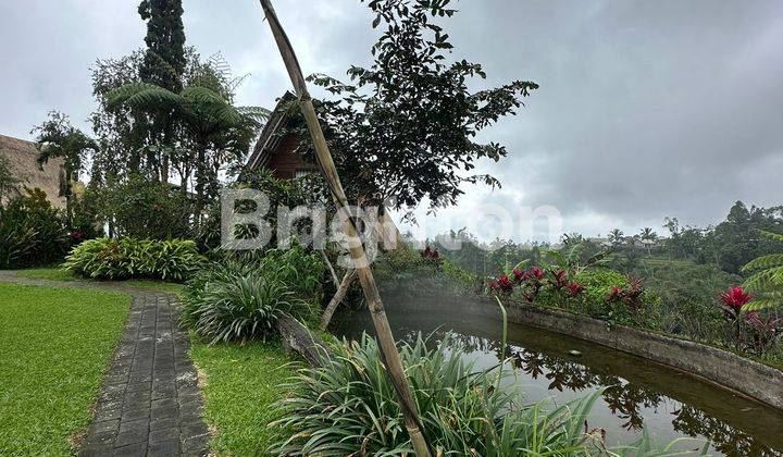 super large villa, large land is neatly arranged, view of the mountains in the Bedugul area, Lake Batur 2