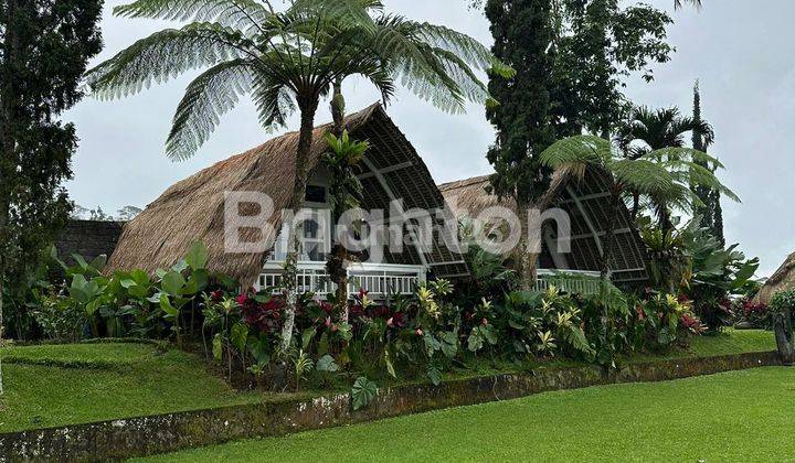 super large villa, large land is neatly arranged, view of the mountains in the Bedugul area, Lake Batur 1