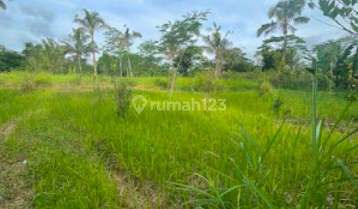 For Sale Freehold Land Plot In Ubud Tegalalang 18 Are Shm 2