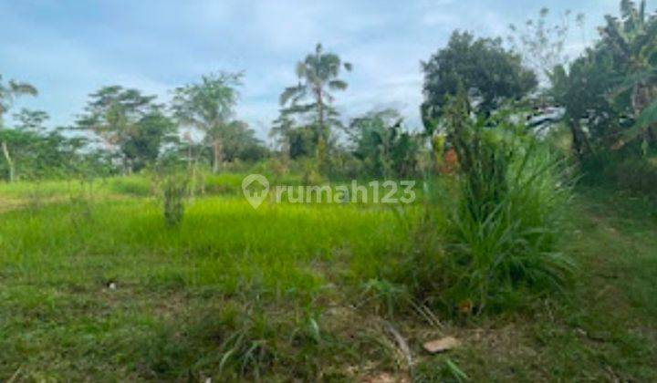 For Sale FREEHOLD Land Plot In Ubud Tegalalang 18 are SHM 2