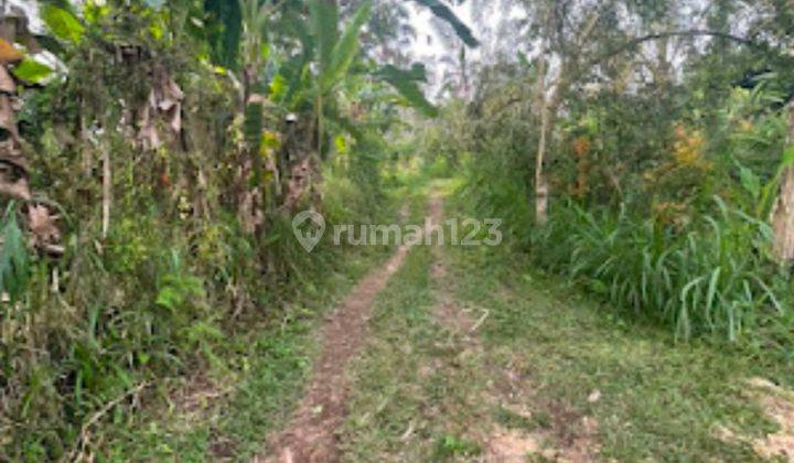 For Sale Freehold Land Plot In Ubud Tegalalang 18 Are Shm 1