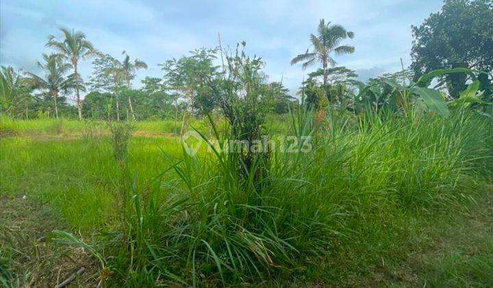 For Sale Freehold Land Plot In Ubud Tegalalang 18 Are Shm 2