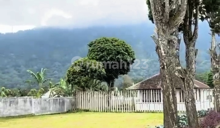 Land for Sale Located in Bedugul, Approximately 500 Meters from Handara Golf & Resort Bali