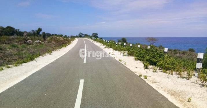 DIJUAL TANAH SUMBA ADA 3 HAKTEL 2 SERTIFIKAT HARGA JUAL GROBAL 1,5 MILIAR 1