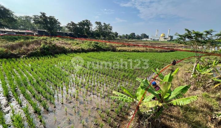 Kavling Luas 4.975 M² SHM di Pagaden Subang - Akses Utama