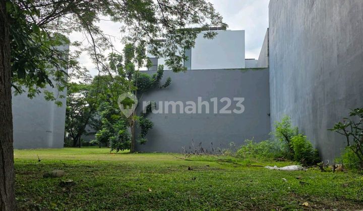 Good and Strategic Plot in Ebony PIK 2