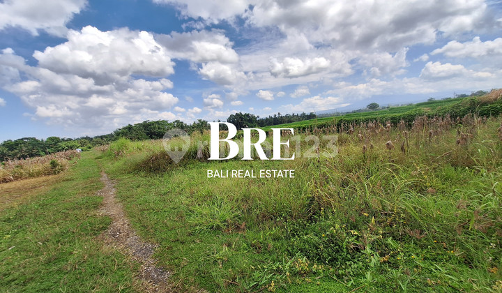 Tanah Murah Di Tabanan, Cocok Untuk Investasi Jangka Pendek