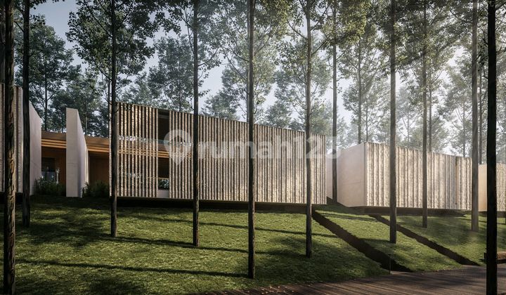 Villa & Apartment di Canggu, Bali | Selangkah Menuju Pantai