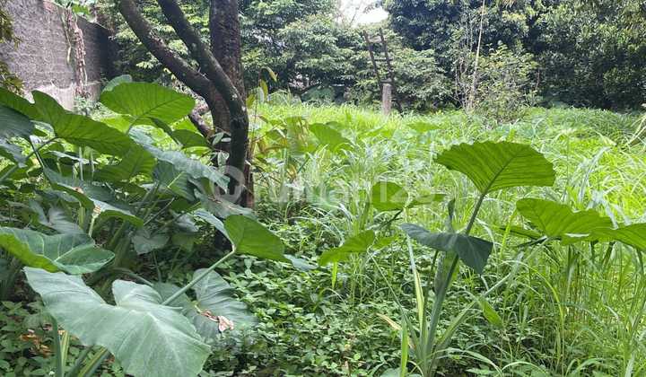 Dijual Tanah di pondok petir Bojong sari Depok Luas 1.615m2 Dijual Tanah di pondok petir Bojong sari Depok Luas 1.615m2