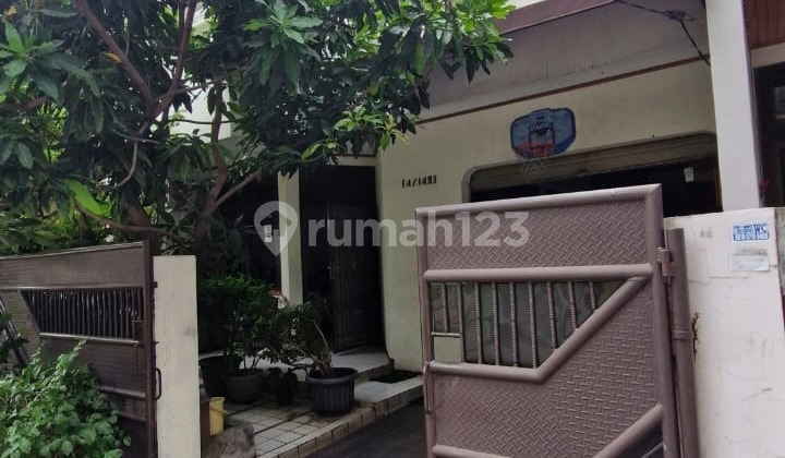Dijual Rumah Kavling Polri Blok F Jelambar. Luas 7X15m 3 Lantai