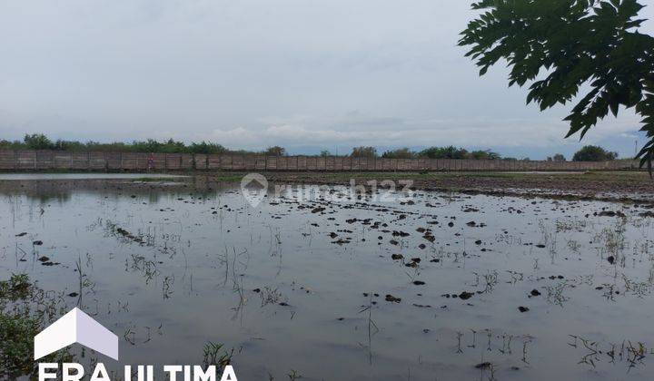 Dijual Murah Tanah Shm Dikawasan Industri 2