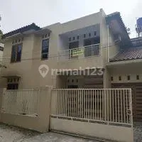 Suitable for a Lush and Comfortable Office