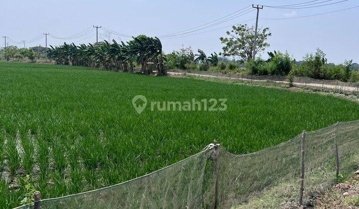 Di Jual Tanah SHM Tanpa Perantara Dibekasi, Cocok Untuk Usaha Sawah Dan Perternakan Ayam 2